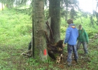 Camp d'été à Muriaux 2014 (Troupe)