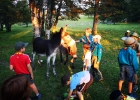 Camp meute 2020