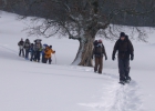 weekend igloo 2012