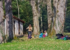 Journée nationale du scoutisme