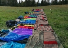 Camp meute 2020