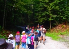 Camp été meute 2013