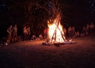 Camp meute 2020